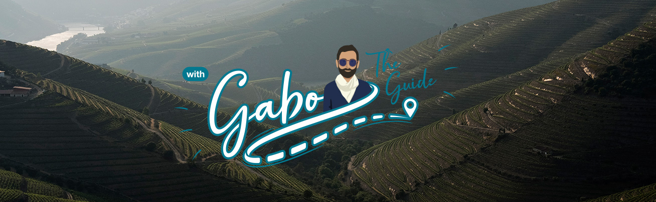 UM GUIA COM MUITO A DIZER SOBRE O PORTO E NORTE